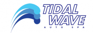 Tidal Wave Auto Spa Franchise Competetive Data